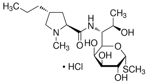 Lincomycine HCL